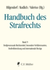 Handbuch des Strafrechts : Band 9: Strafprozessuale Rechtsmittel, besondere Verfahrensarten, Strafvollstreckung. und internationale Bezuge - eBook