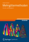 Mehrgittermethoden : Ein Lehr- und Ubungsbuch - eBook