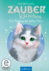 Zauberkatzchen - Ein Sprung ins kalte Nass - eBook