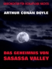 Das Geheimnis von Sasassa Valley - eBook