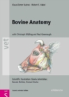 Bovine Anatomy : An Illustrated Text, Second  Edition - Book
