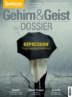 Gehirn&Geist Dossier - Depression : Wege aus dem Seelentief - eBook