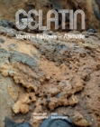 Gelatin : Vorm - Fellows - Attitude - Book