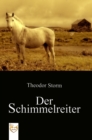 Der Schimmelreiter - eBook