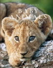 Baby Animals - Book