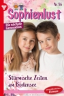 Sturmische Zeiten am Bodensee : Sophienlust - Die nachste Generation 86 - Familienroman - eBook