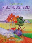 Niels Holgersens wunderbare Reise mit den Wildgansen - Zweiter Teil - eBook