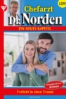Verliebt in einen Traum : Chefarzt Dr. Norden 1255 - Arztroman - eBook