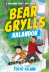 Bear Grylls Kalandok - Folyo Kaland - eBook