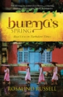 Burma's Spring : Real Lives in Turbulent Times - Book
