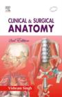 Clinical and Surgical Anatomy - Book
