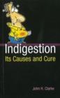 Indigestion : Its Causes & Cure - Book