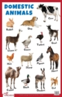 Domestic Animals Educational Chart - Book