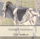 Animal Anatomy - eBook