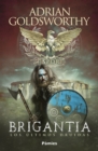 Brigantia - eBook