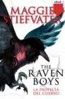 The raven boys: La profecia del cuervo - eBook