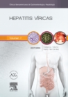 Hepatitis viricas : Clinicas Iberoamericanas de Gastroenterologia y Hepatologia vol. 7 - eBook