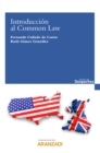 Introduccion al Common Law - eBook