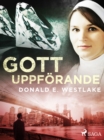 Gott uppforande - eBook