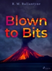 Blown to Bits - eBook