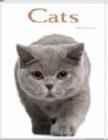 Cats : Pocket Book - Book
