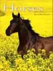 Horses : Pocket Book - Book