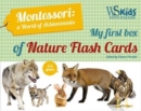 My First Flash Cards Box: Discovering Forest Animals - Montessori World of Achievements - Book
