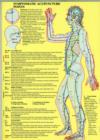 Symptomatic Acupuncture Points -- A4 - Book