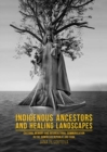 Indigenous Ancestors and Healing Landscapes : Cultural Memory and Intercultural Communication in the Dominican Republic and Cuba - Book