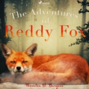 The Adventures of Reddy Fox - eAudiobook