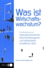 Was ist Wirtschaftswachstum? Eine Betrachtung aus makrookonomischer, branchenbezogener und betriebswirtschaftlicher Sicht - eBook