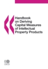 Handbook on Deriving Capital Measures of Intellectual Property Products - eBook