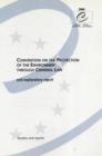 Convention on the Protection of the Environment Through Criminal Law : And Explanatory Report - Book
