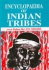 Encyclopaedia Of Indian Tribes The Tribal World In Transition - eBook