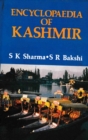 Encyclopaedia of Kashmir (Kashmir Art, Architecture and Tourism) - eBook