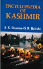 Encyclopaedia of Kashmir (Kashmir-The Constitutional Status) - eBook