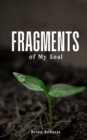 Fragments of My Soul - Book