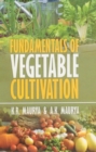 Fundamentals of Vegetable Cultivation - eBook