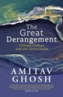The Great Derangement : Climate Change and the Unthinkable - eBook