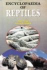 Encyclopaedia of Reptiles (Modern Reptiles) - eBook
