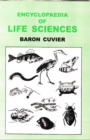 Encyclopaedia of Life Sciences (Class Mammalia) - eBook