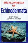 Encyclopaedia of Echinodermata (Phylum Echinodermata) - eBook