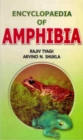 Encyclopaedia of Amphibia (Amphibia of Past and Present) - eBook