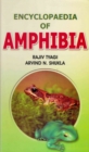 Encyclopaedia of Amphibia (Amphibian Sex Organs) - eBook