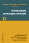 Justicia transicional y derecho penal internacional - eBook