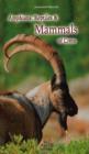 Amphibians, Reptiles & Mammals of Crete - Book