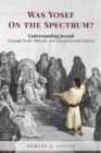 Was Yosef on the Spectrum? : Understanding Joseph Through Torah, Midrash, and Classical Jewish Sources - Book