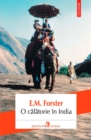 O calatorie in India - eBook