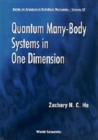 Quantum Many-body Systems In One Dimension - Book