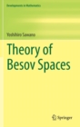 Theory of Besov Spaces - Book